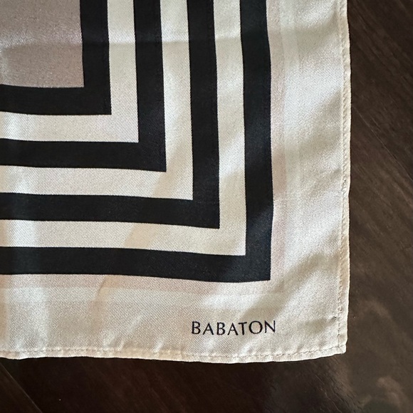 Aritzia Small Silk Scarf - Picture 2 of 2